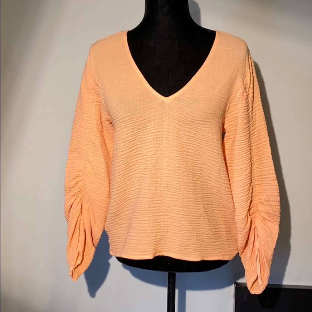 Zara Basic Collection - image 1